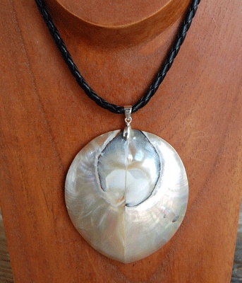 shell natural cut