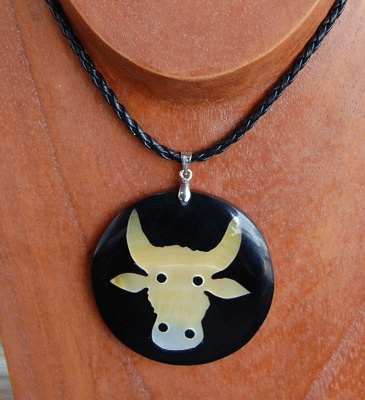 Zodiac shell with resin necklace
